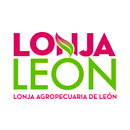 lonja de leon