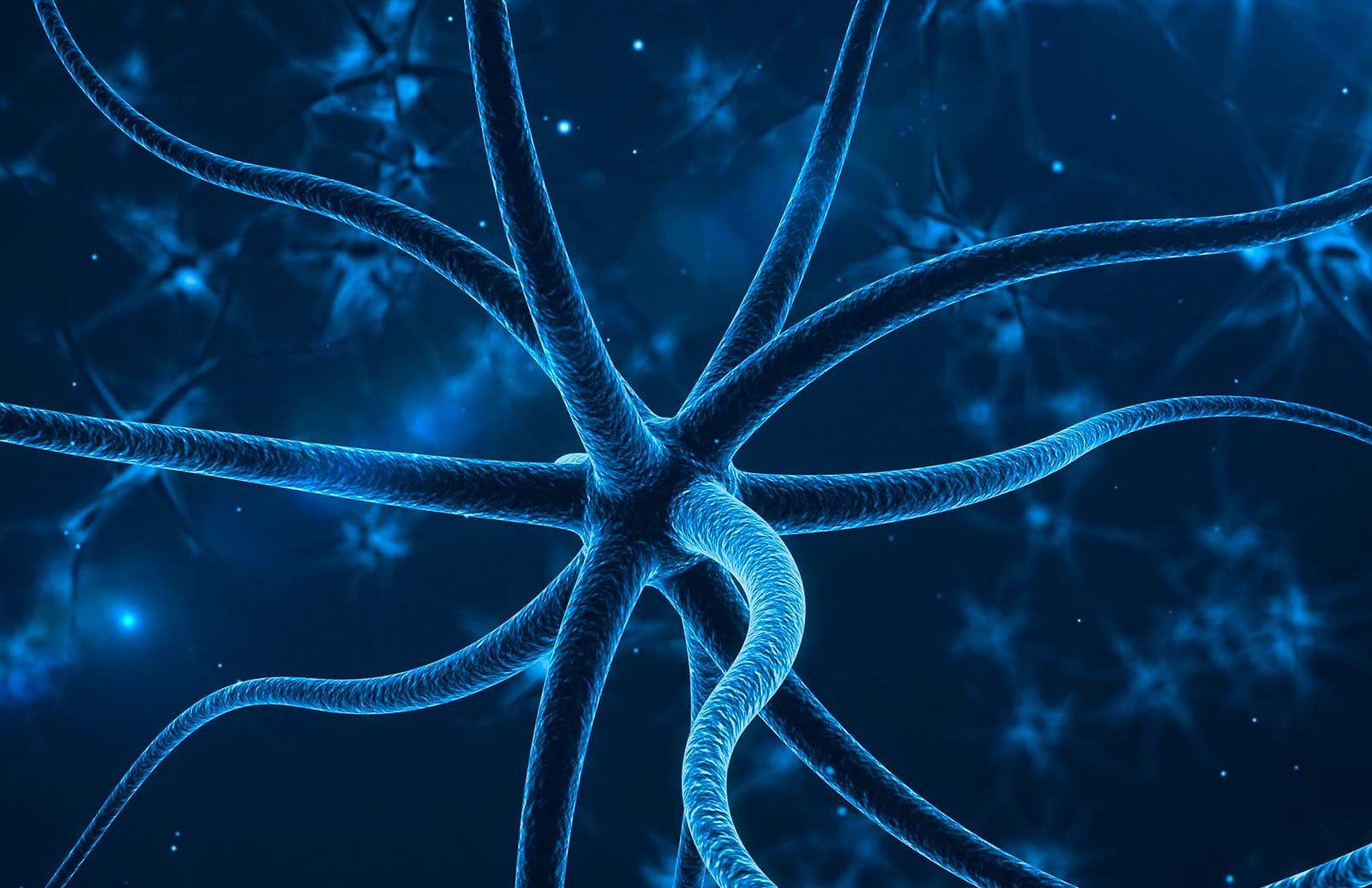 neuroredacer