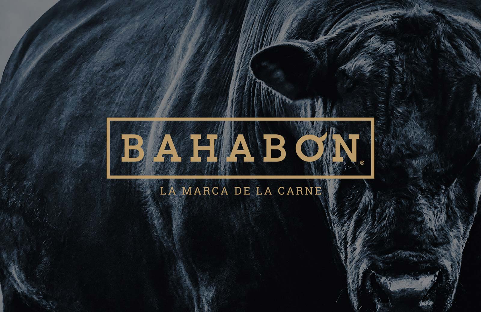 Carnes bahabón